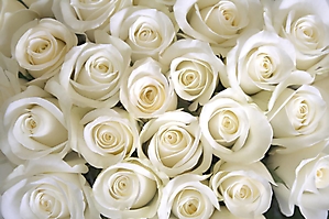 flowers-39
