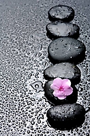 flowers-66