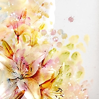 flowers-79