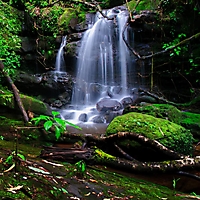 nature-76