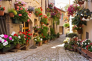 town-201