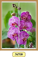 Двери для шкафа-купе