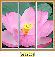 Двери для шкафа-купе