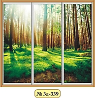 3 двери