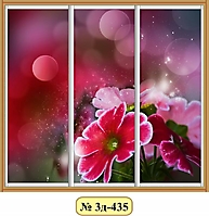 3д-435