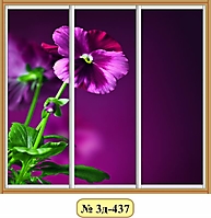 3д-437