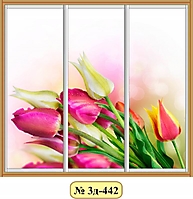 3д-442