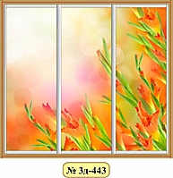 3д-443