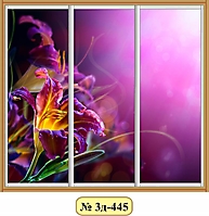 3д-445