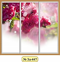 3д-447