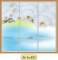 Двери для шкафа-купе