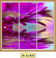 3д-833