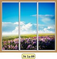 Двери для шкафа-купе