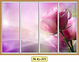 Двери для шкафа-купе