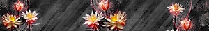 ArtSkinali-1351