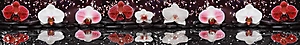 ArtSkinali-1411