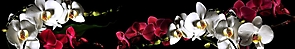 ArtSkinali-172