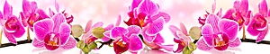 ArtSkinali-210