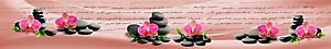 ArtSkinali-2594