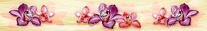 ArtSkinali-2597