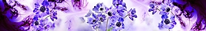 ArtSkinali-2719