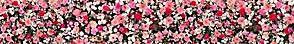 ArtSkinali-3480