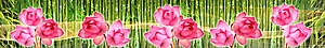 ArtSkinali-591