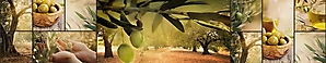 ArtSkinali-154
