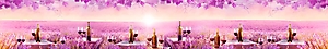 ArtSkinali-2587