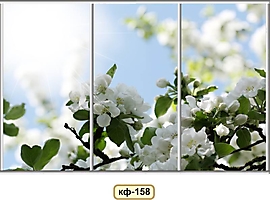 Фасады для кухни